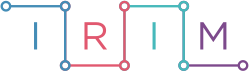 Institut Za Razvoj i Inovativnost Mladih logo